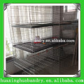 Stahldrahtgewebe Chicken Baby Cage China Lieferant